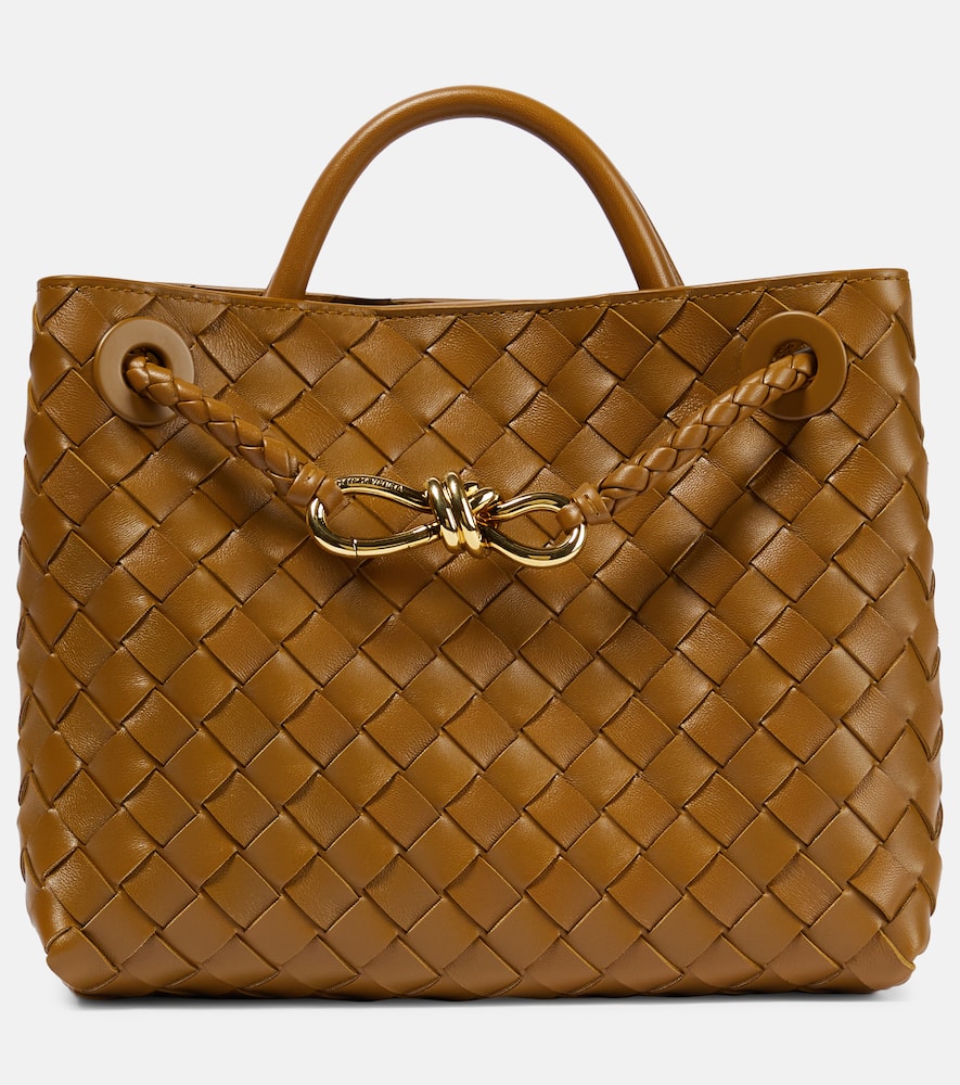 Bottega Veneta Andiamo Small Bag In Brown
