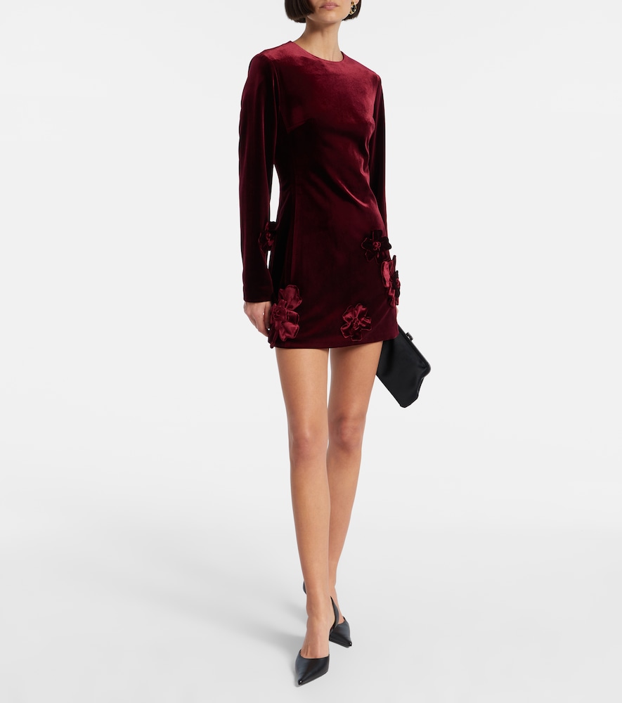 Leo Lin Aliza floral-appliqué velvet minidress