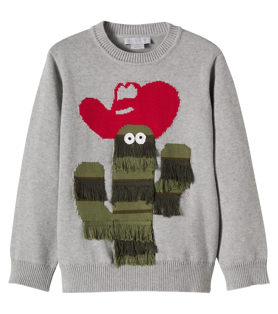 Pullover in cotone con ricamo
