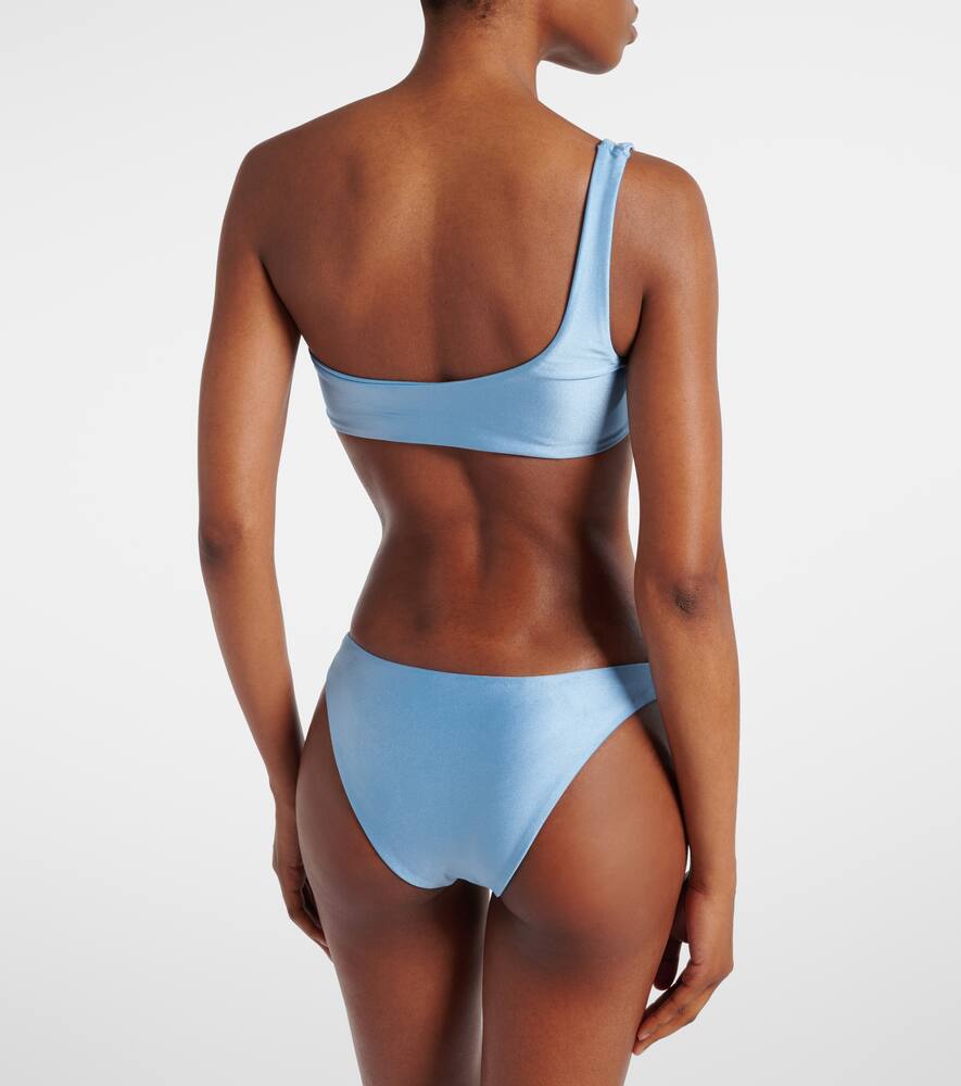 Jade Swim Most Wanted Bikini Bottoms