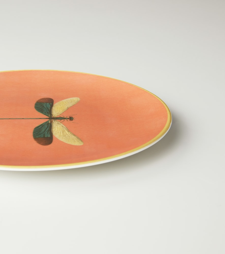  Les-ottomans Les-ottomans Frühstücksteller Insetti Dragonfly 