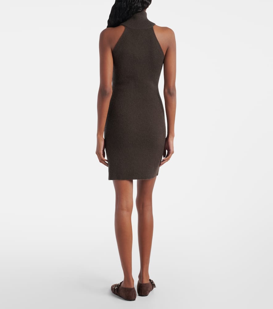 Lisa Yang Lisa Cashmere Turtleneck Minidress