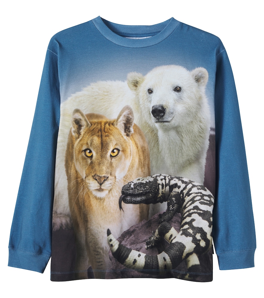Molo Blue Rube Cotton Jersey T-Shirt Y Size 12 - Mytheresa