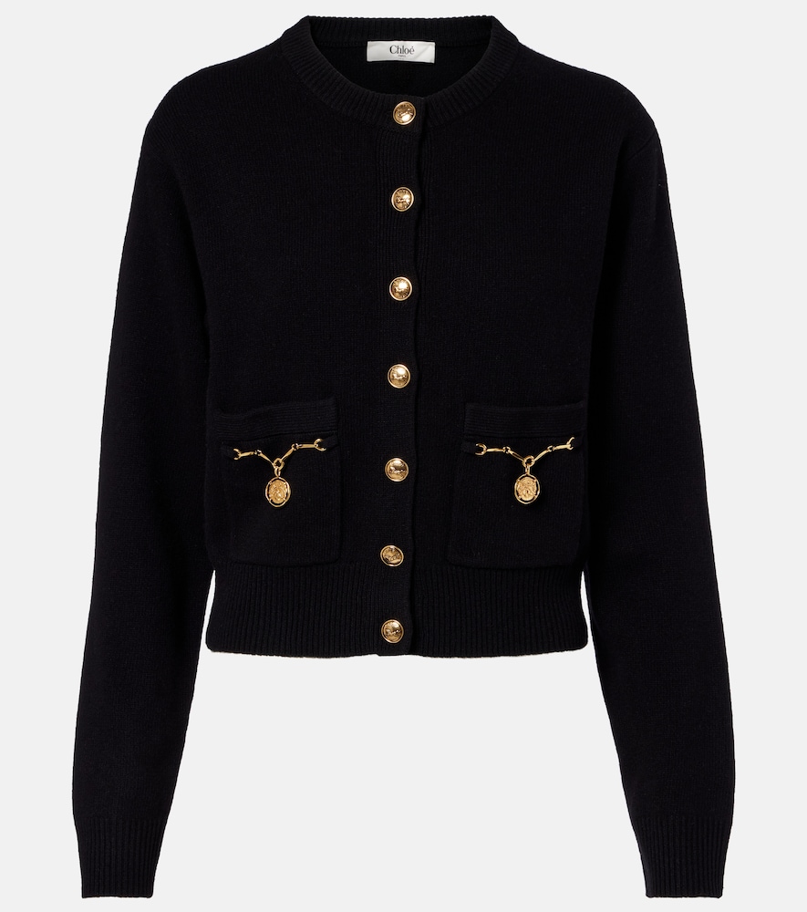 Chloe Chloé Wool and cashmere cardigan