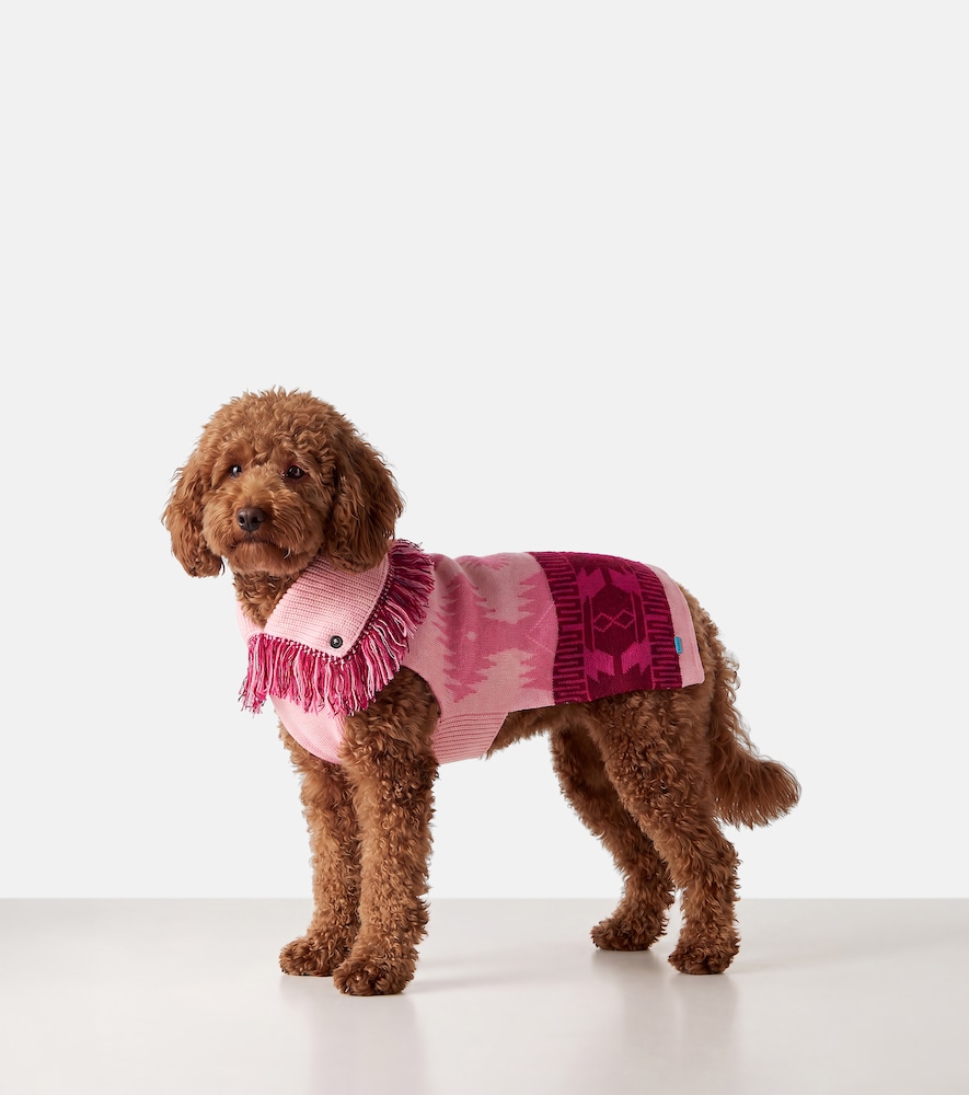 X Poldo Dog Couture Dog Sweater