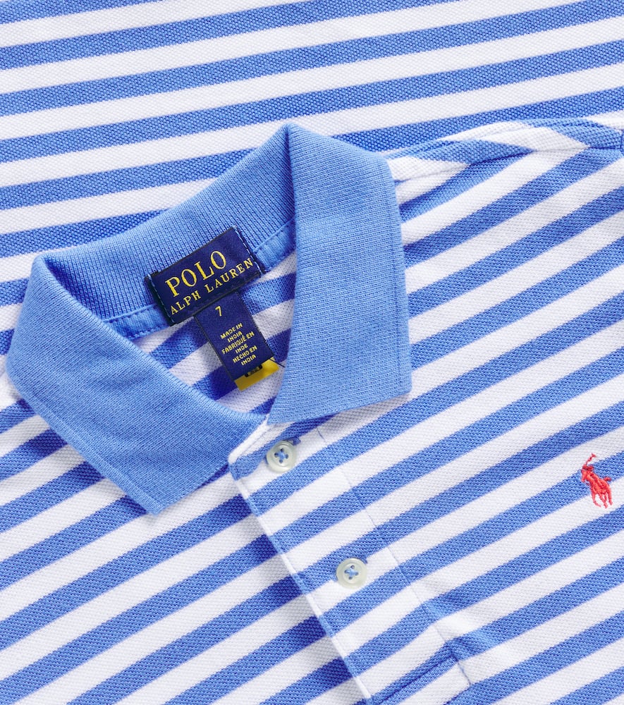 Polo Ralph Lauren Cotton Polo Shirt In Blue
