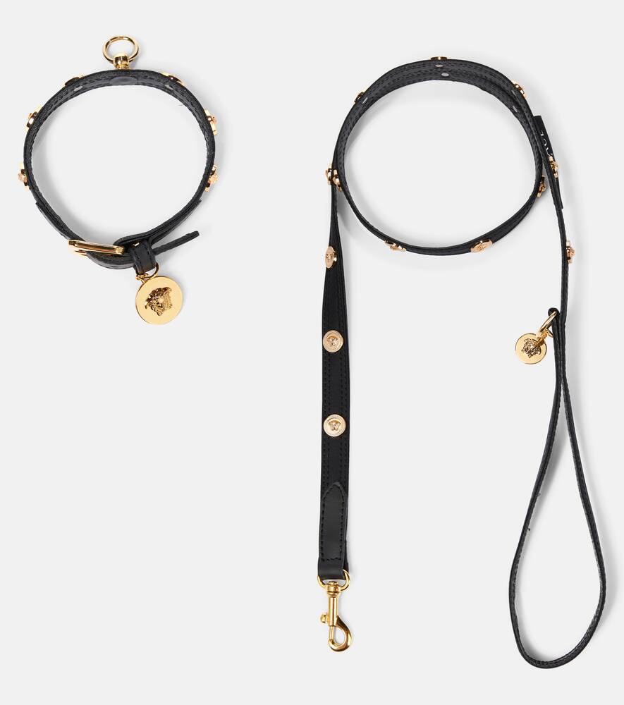 VERSACE MEDUSA DOG COLLAR AND LEASH SET