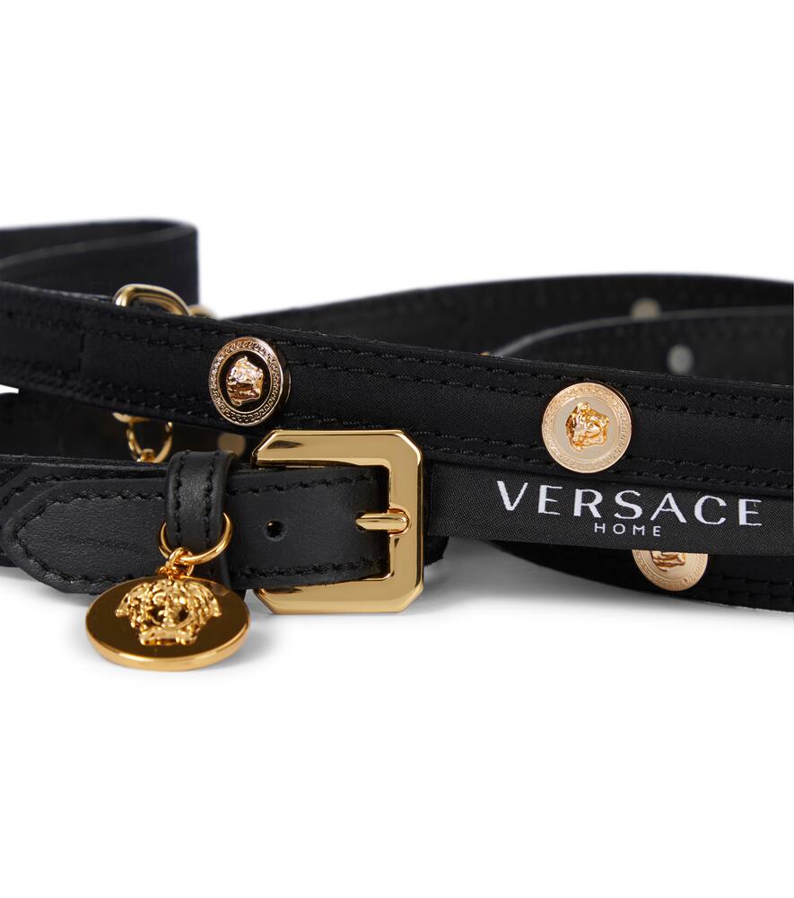 VERSACE MEDUSA DOG COLLAR AND LEASH SET