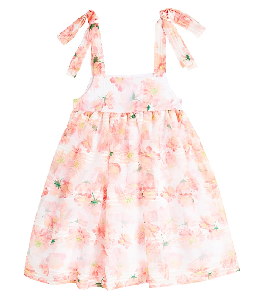 Paade Mode Floral chiffon dress