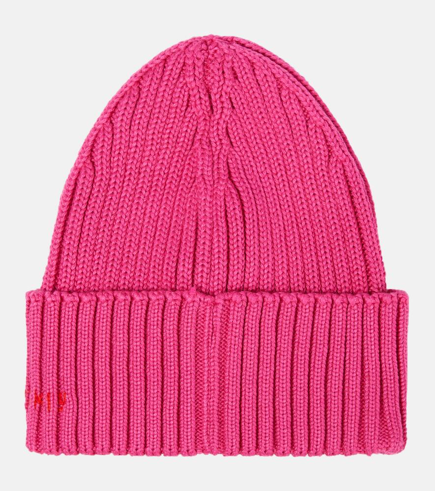 Ruslan Baginskiy Pink Logo Ribbed Knit Beanie Hat In Pink