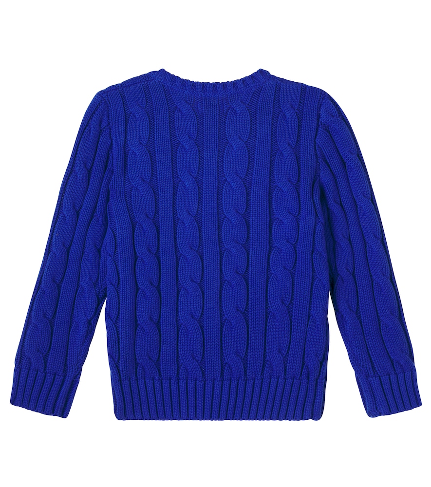  Polo Ralph Lauren Kids Polo Ralph Lauren Kids Bestickter Pullover Aus Baumwolle 