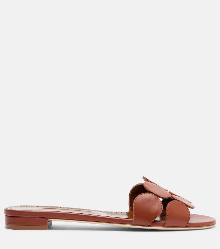 Haribalmuflat Slides