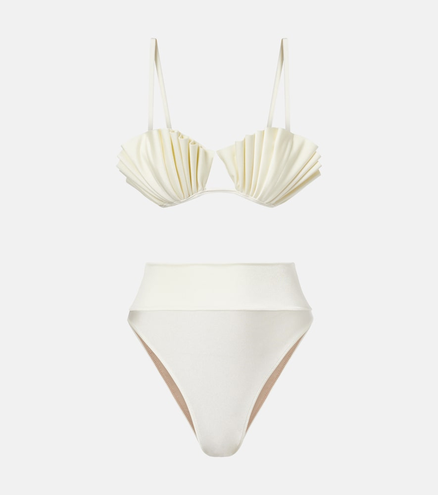 Bikini Seashell