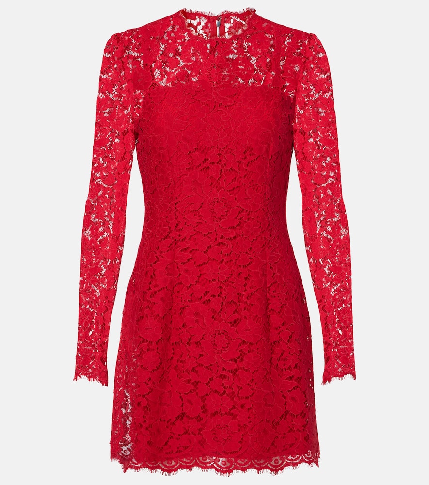 Dolce & Gabbana Cotton-blend Lace Minidress In Rot