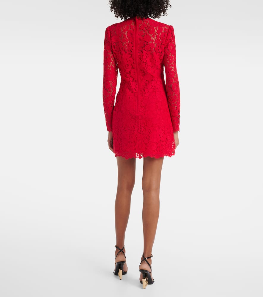 Dolce & Gabbana Cotton-blend Lace Minidress In Rot