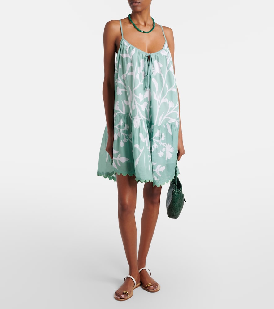 Juliet Dunn Floral scalloped cotton minidress
