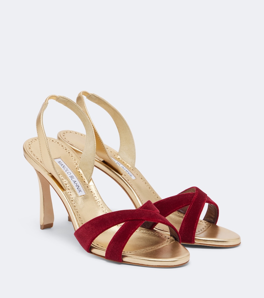 Manolo Blahnik Callydra Velvet-trimmed Leather Sandals In Gold