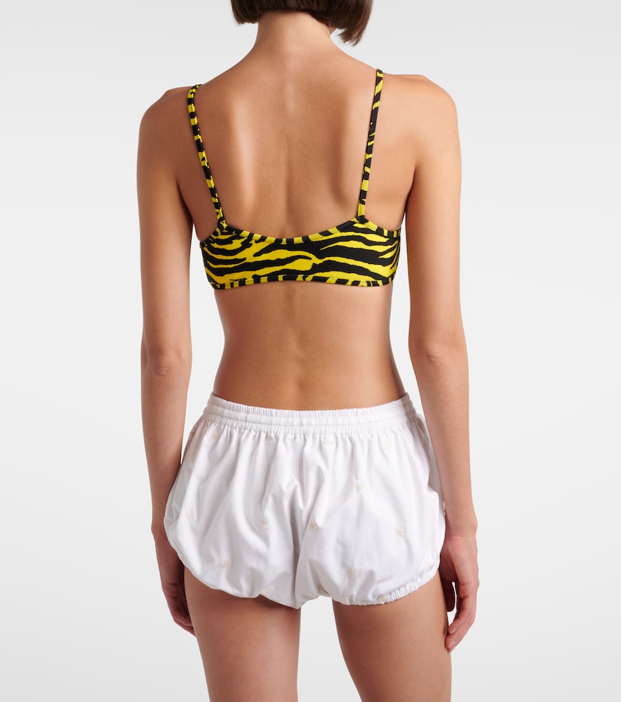 Embroidered Cotton Shorts