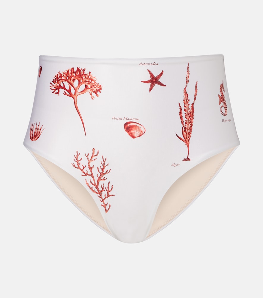 Agua by Agua Bendita Magdalena printed bikini bottoms