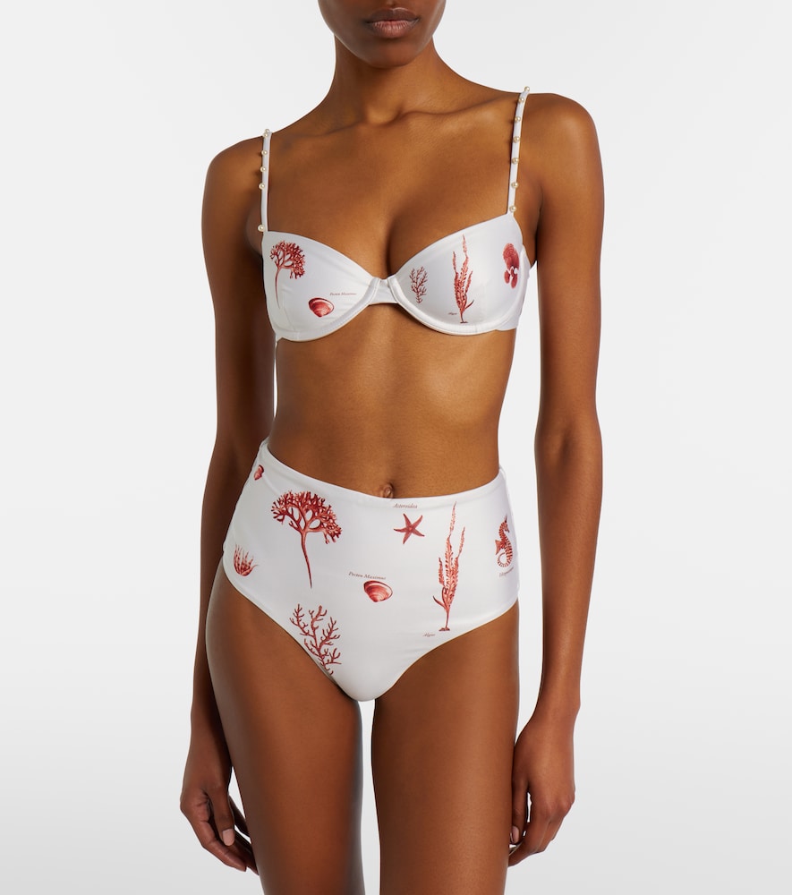 Agua by Agua Bendita Magdalena printed bikini bottoms