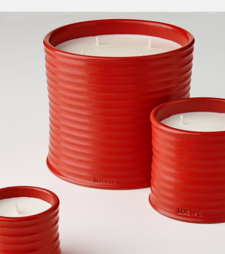 Loewe Home Scents Loewe Home Scents Duftkerze Tomato Leaves Medium 