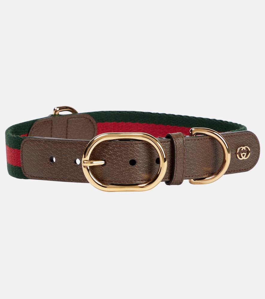 Gucci Web Stripe L/XL faux leather dog collar