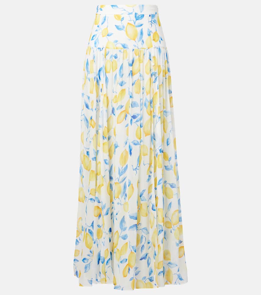 Jamie sheer maxi skirt