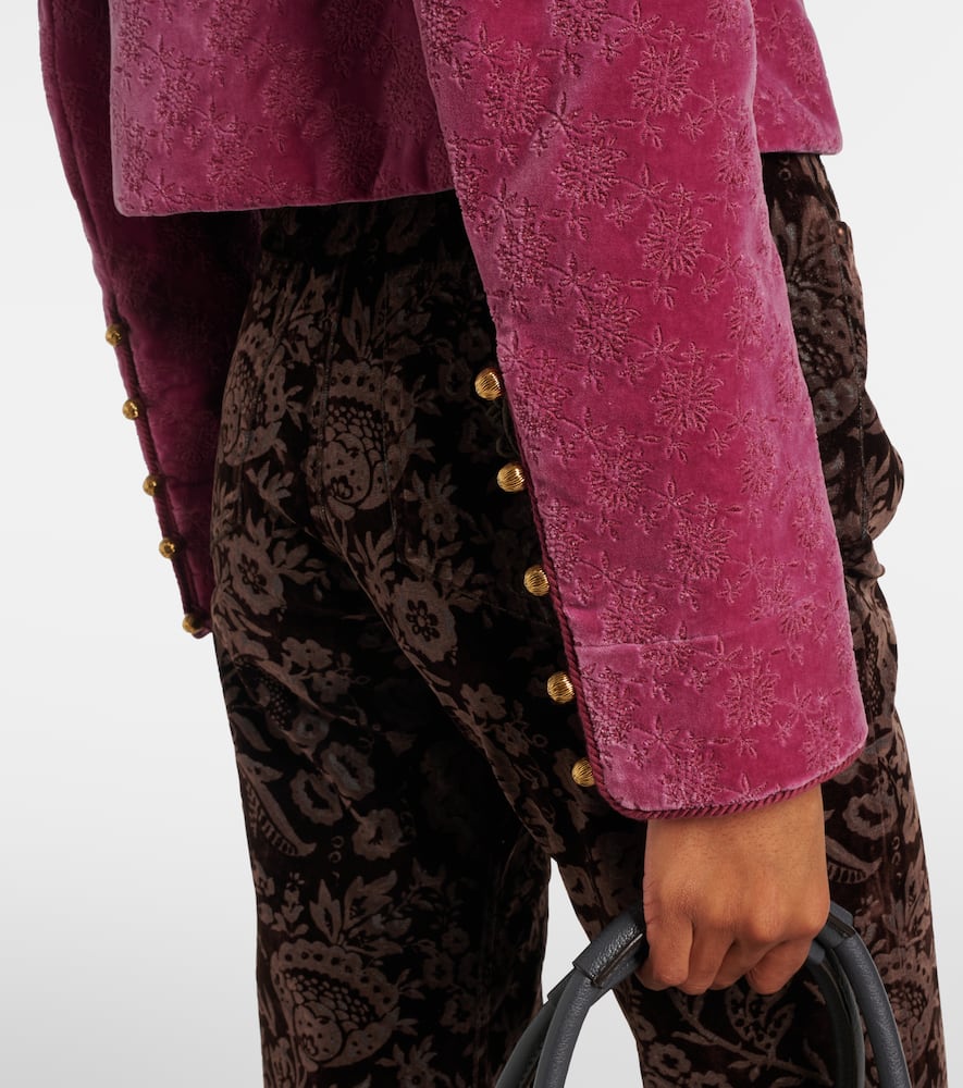 Chloé Floral Cropped Cotton Velvet Jacket In Purple