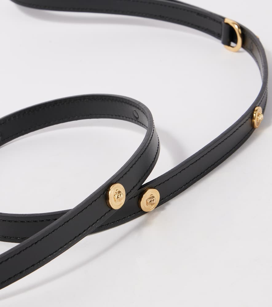 Leather dog leash