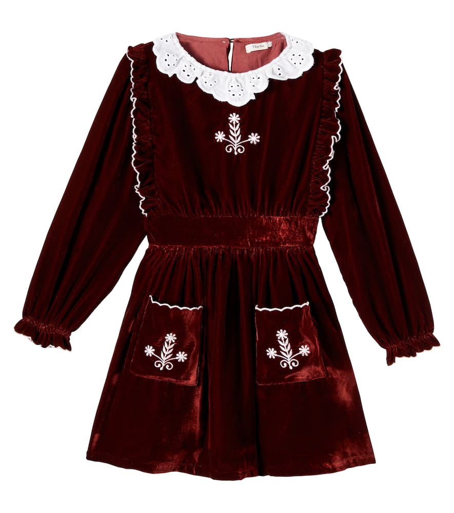 The New Society Abril Floral Embroidered Velvet Dress In Brown