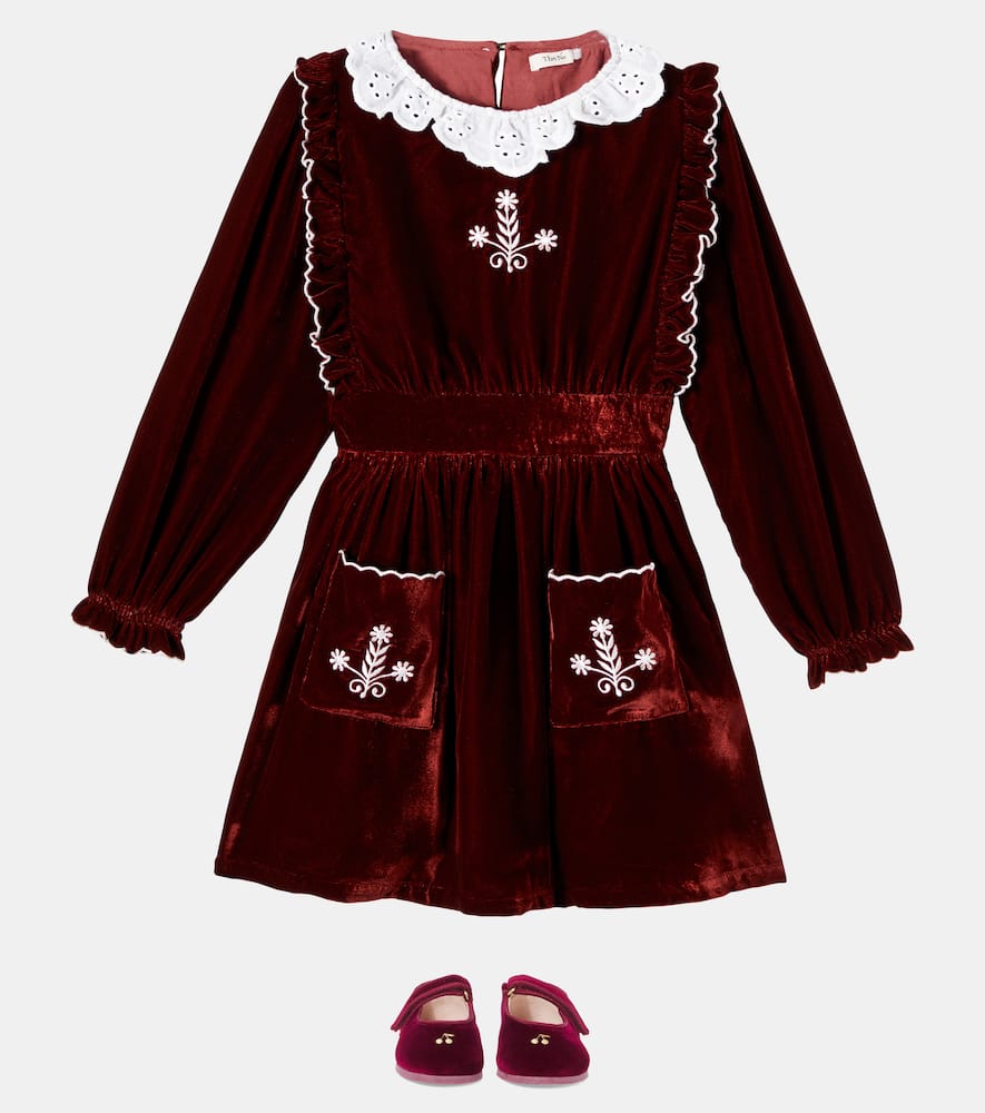 The New Society Abril Floral Embroidered Velvet Dress In Brown
