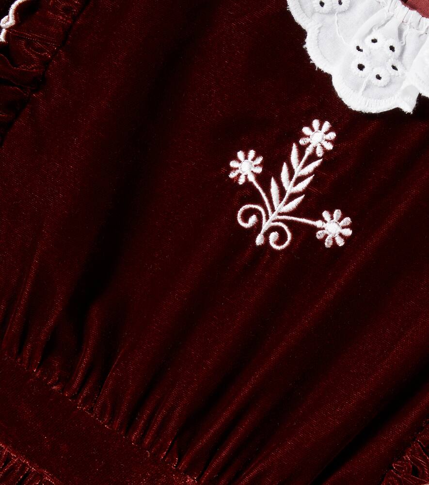 The New Society Abril Floral Embroidered Velvet Dress In Brown