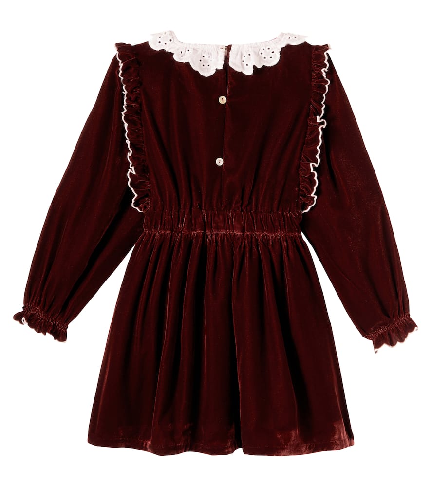 The New Society Abril Floral Embroidered Velvet Dress In Brown