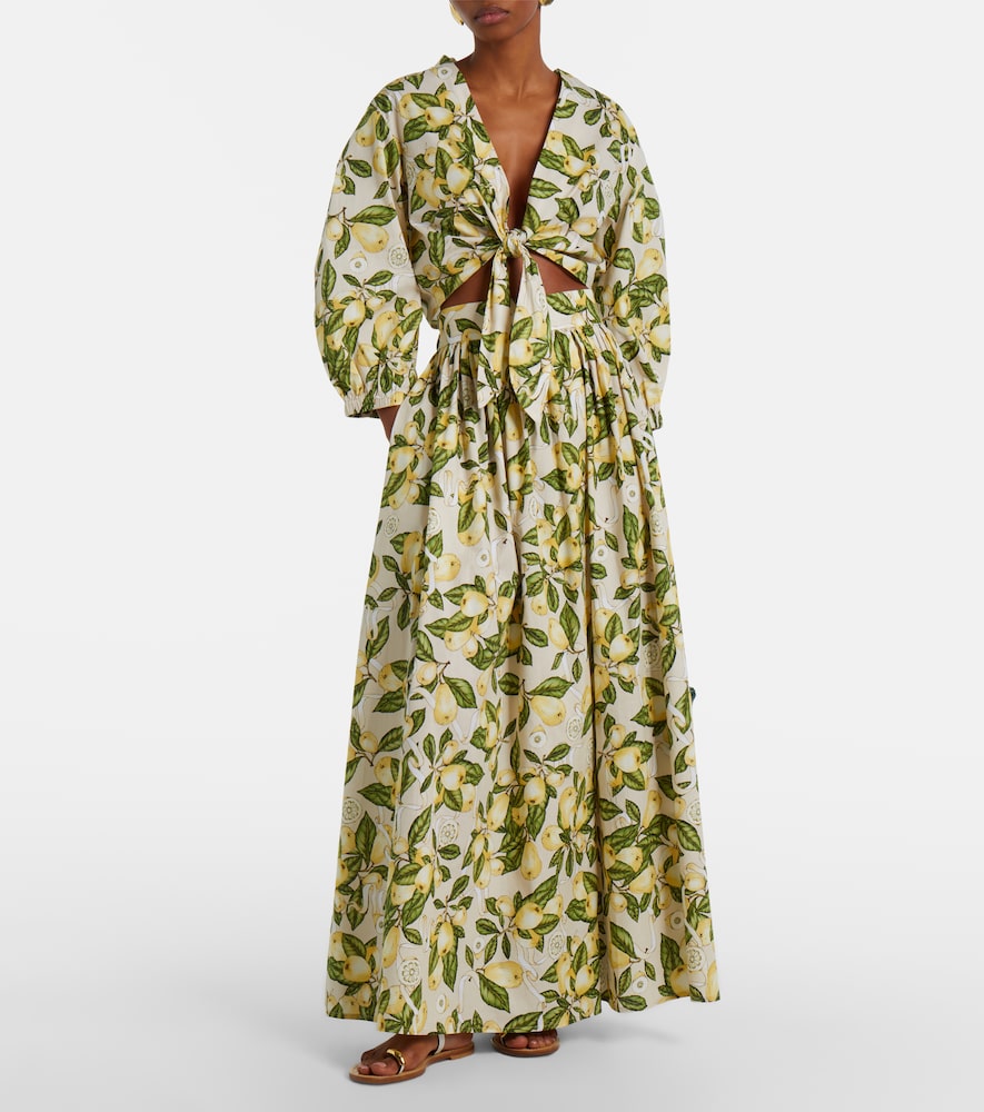  Adriana Degreas Adriana Degreas Printed Cotton-blend Maxi Skirt 