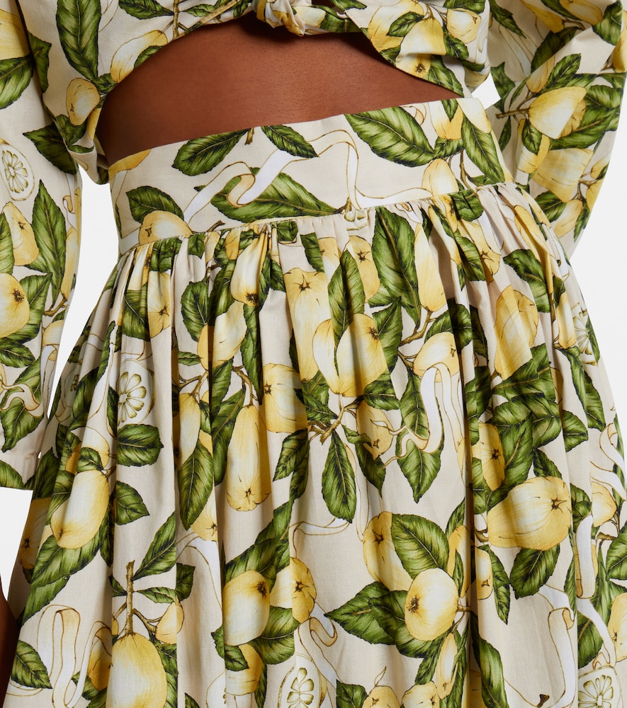  Adriana Degreas Adriana Degreas Printed Cotton-blend Maxi Skirt 