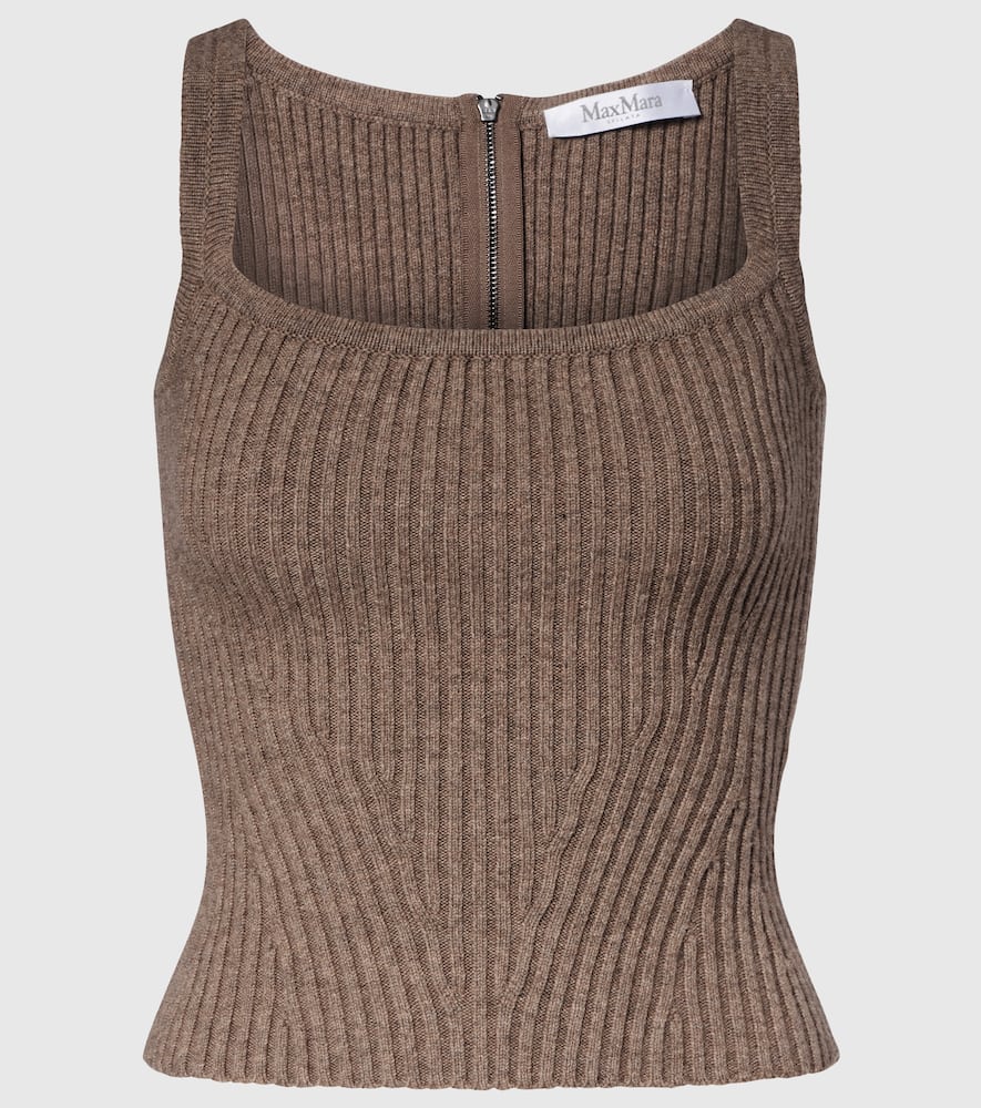 Max Mara Aretusa Wool And Cashmere-blend Top In Brown