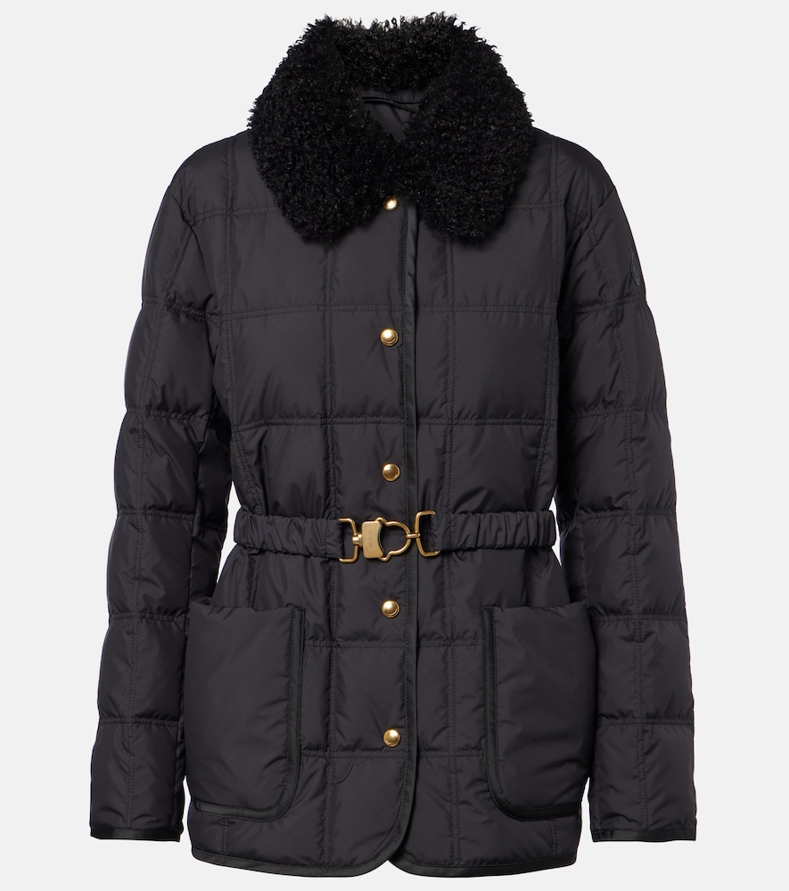 Moncler Cygnes Down Jacket In Blue