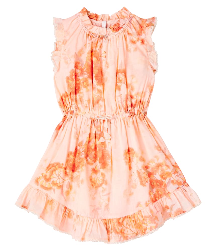 Zimmermann Cascadian Floral Cotton Dress In Pink
