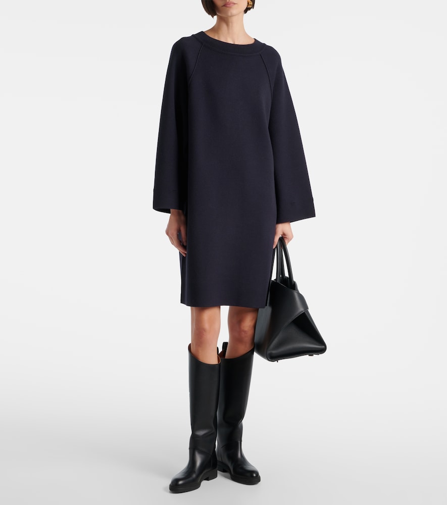  Max Mara Max Mara Luisa Minidress 