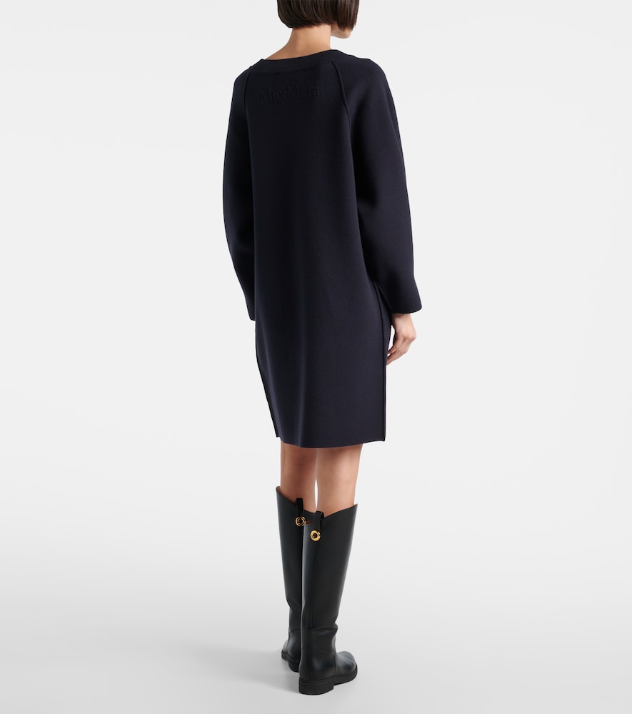  Max Mara Max Mara Luisa Minidress 