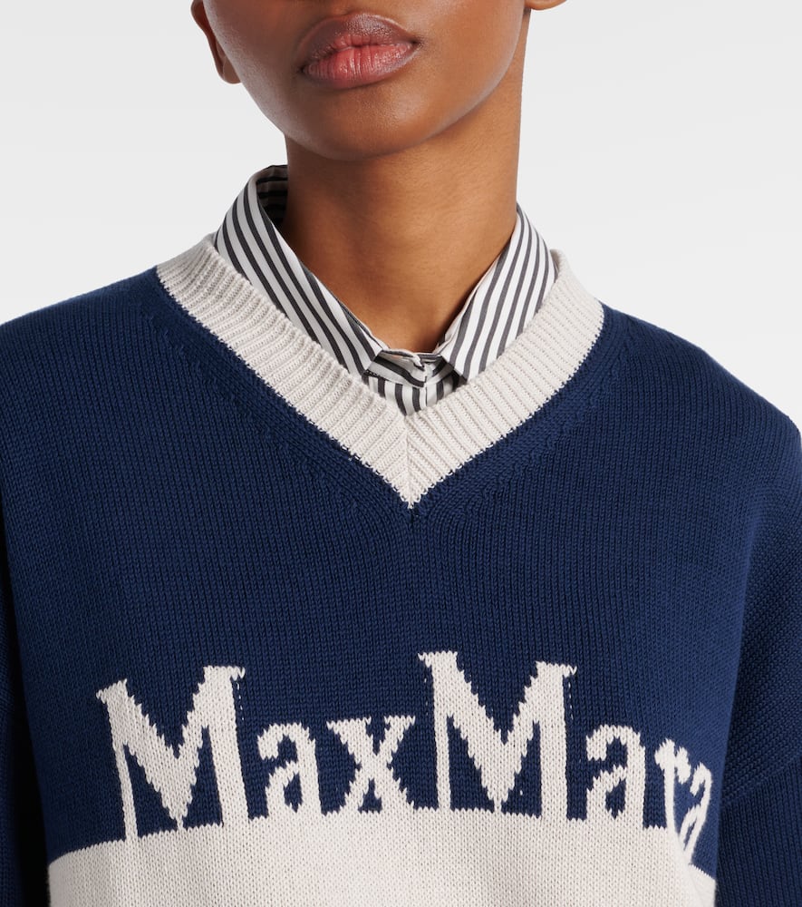 S Max Mara Luigi Cotton Sweater In Multicoloured