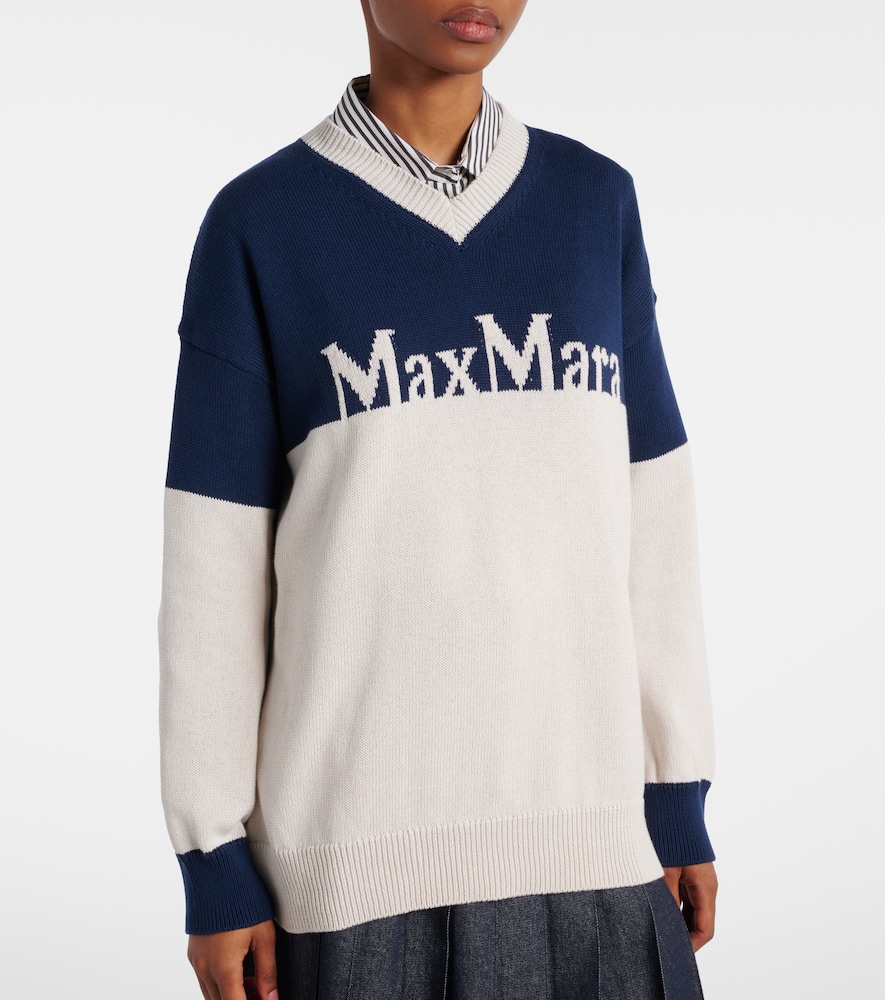 S Max Mara Luigi Cotton Sweater In Multicoloured