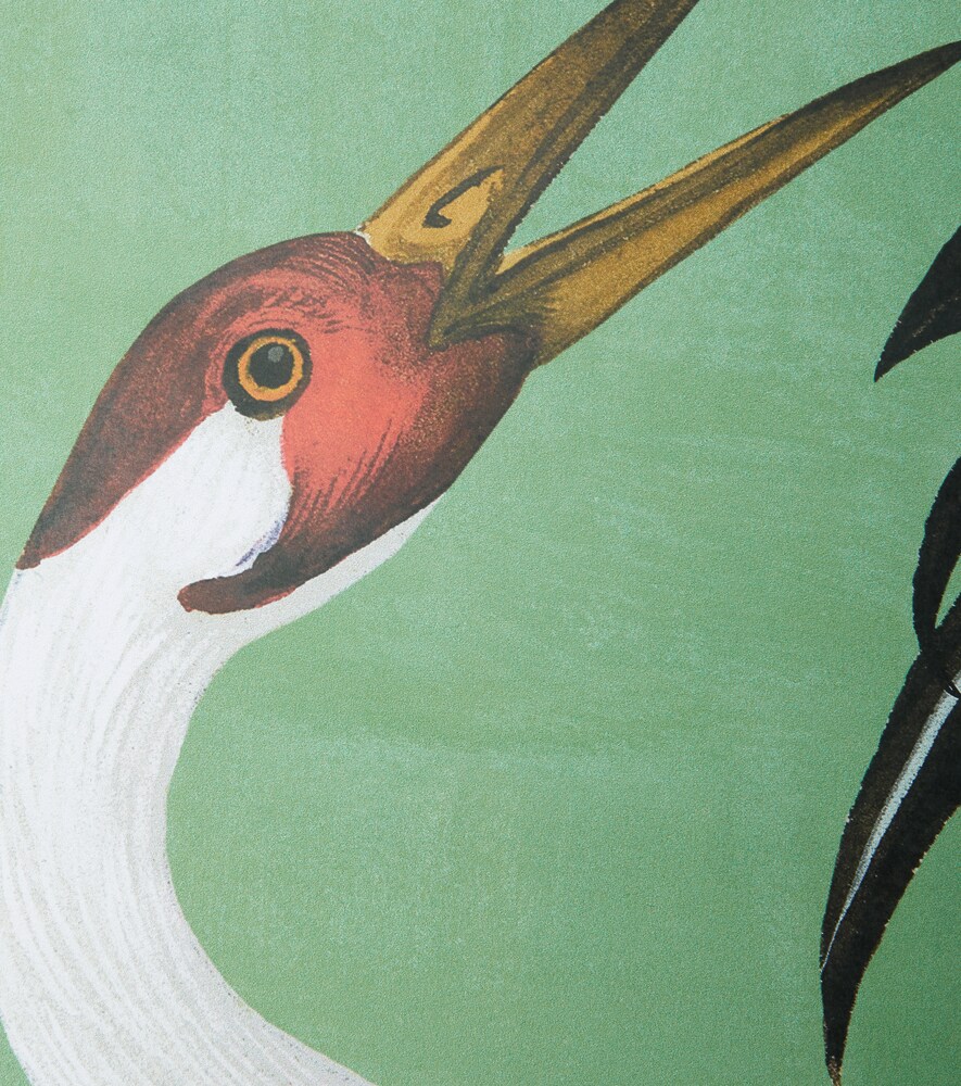  Gucci Gucci Heron Wallpaper 
