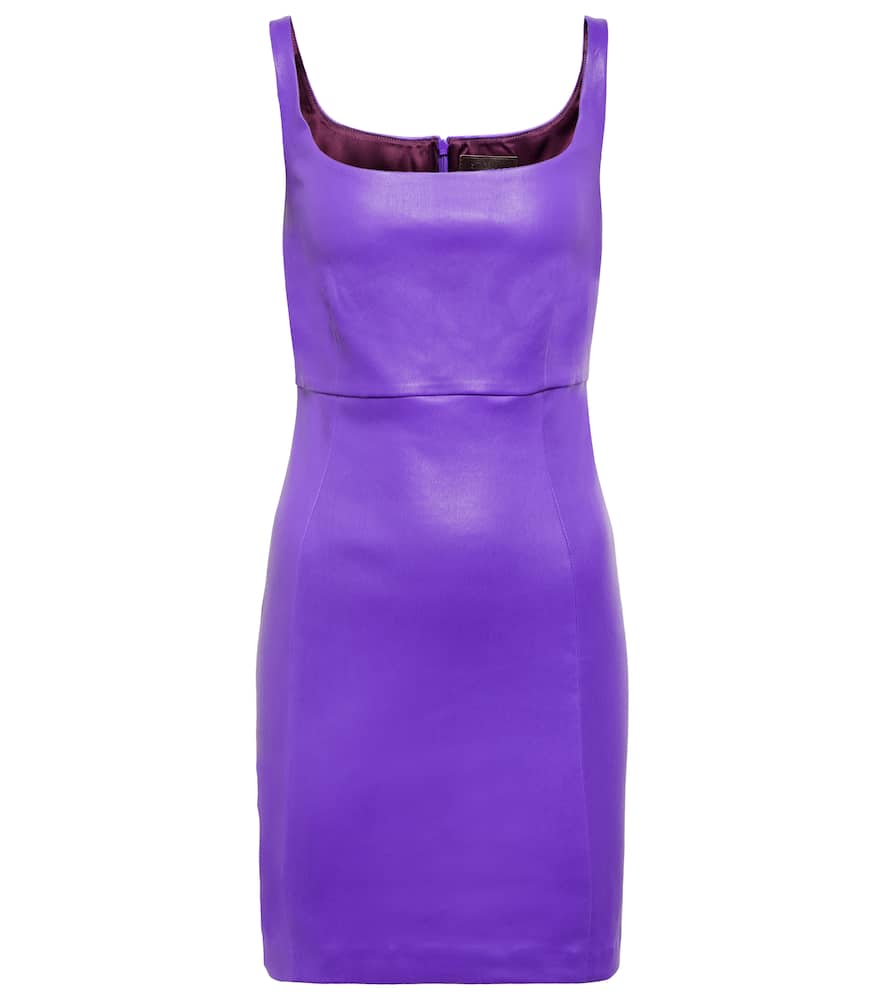 Stouls Vanessa leather minidress