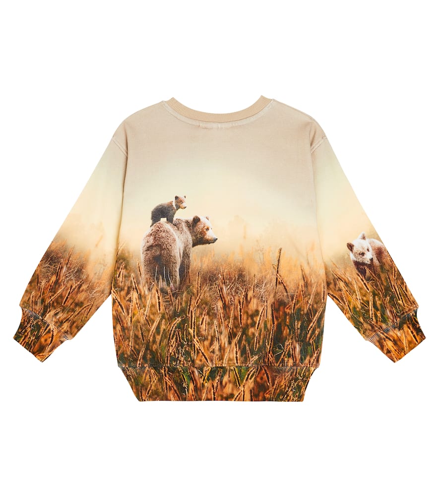 Molo Mattis Bear-print Sweatshirt In Brown
