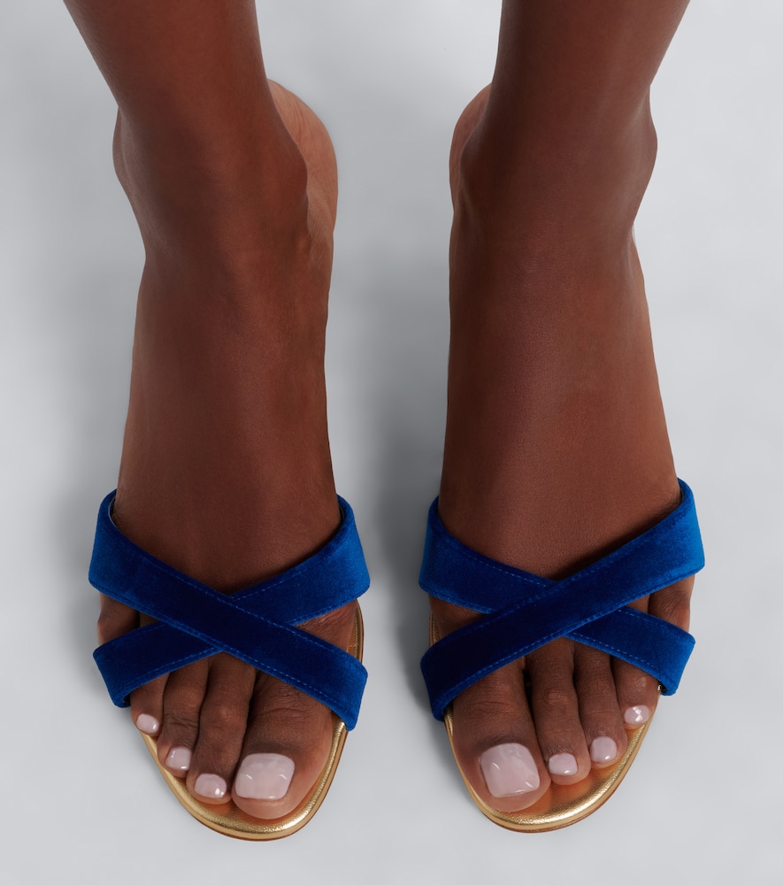 Callydramu Velvet Mules
