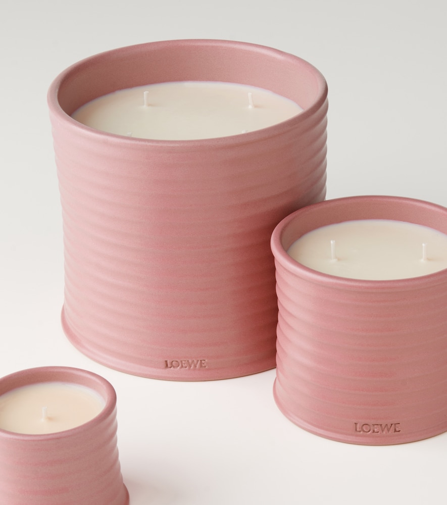  Loewe Home Scents Loewe Home Scents Ivy Medium Candle 