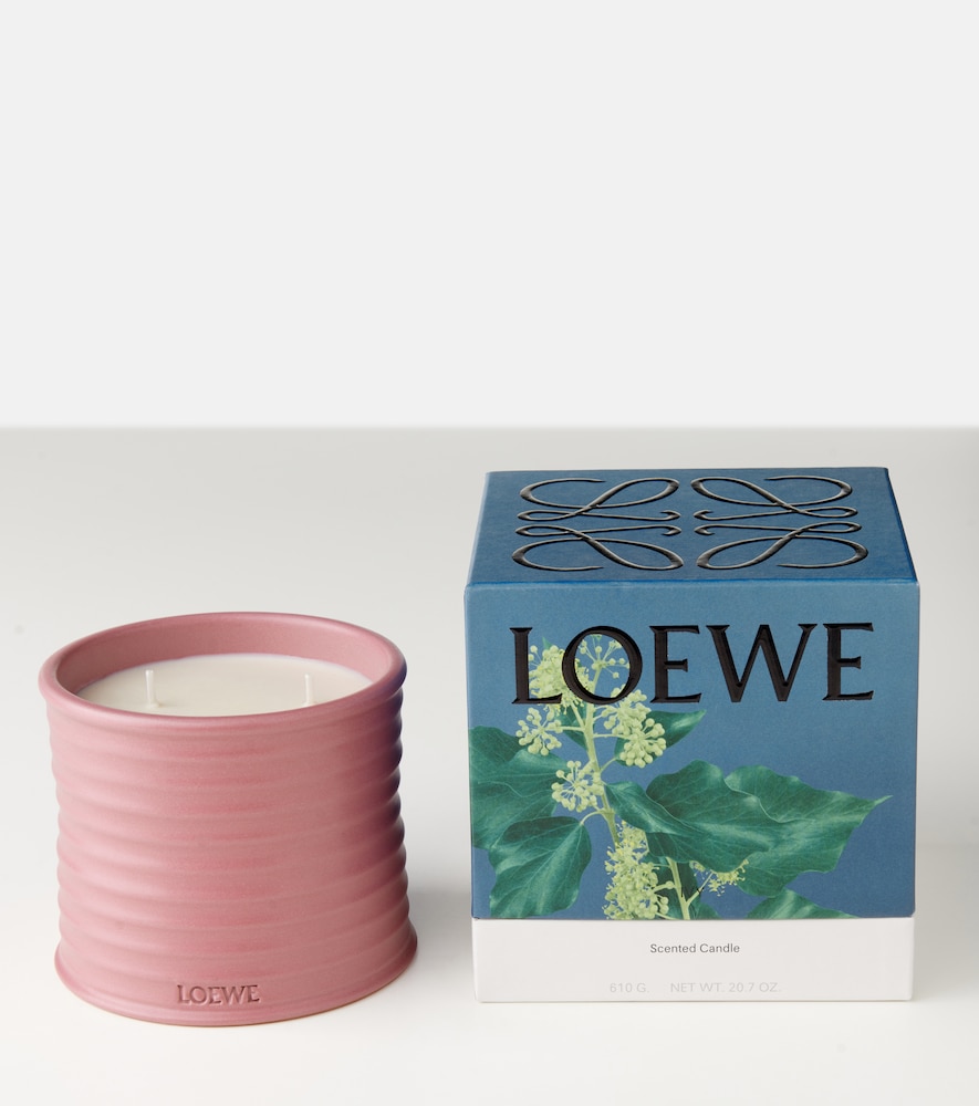  Loewe Home Scents Loewe Home Scents Ivy Medium Candle 