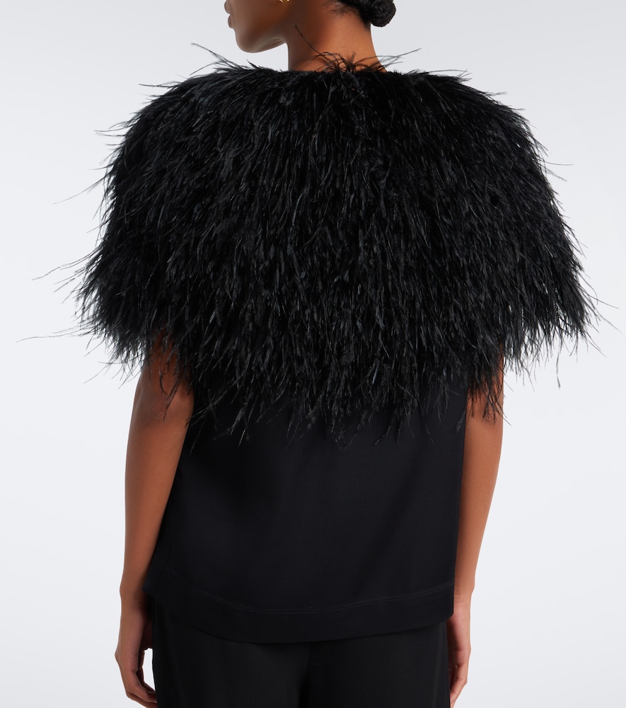 Iona Feather-Trimmed Top