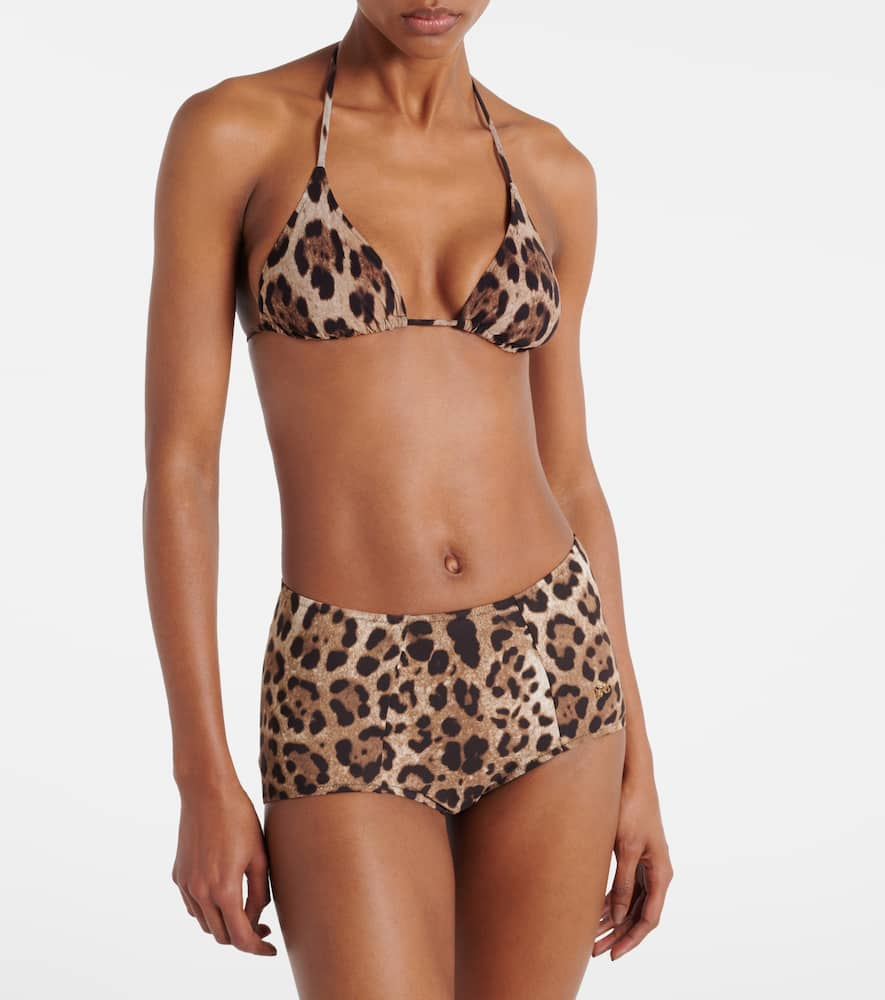 Shop Dolce & Gabbana Leopard-print Bikini Bottoms In Brown